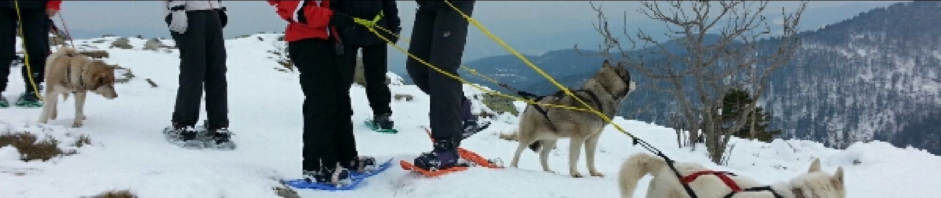 Tocht Sneeuwschoenen Le Valtin - raquettes  - Photo