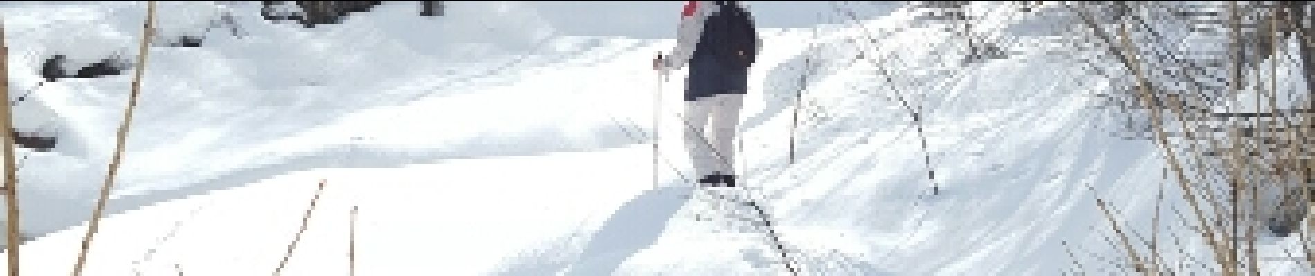 Randonnée Raquettes à neige Peisey-Nancroix - CRAB - MERCREDI 02 MARS – AM  - Photo