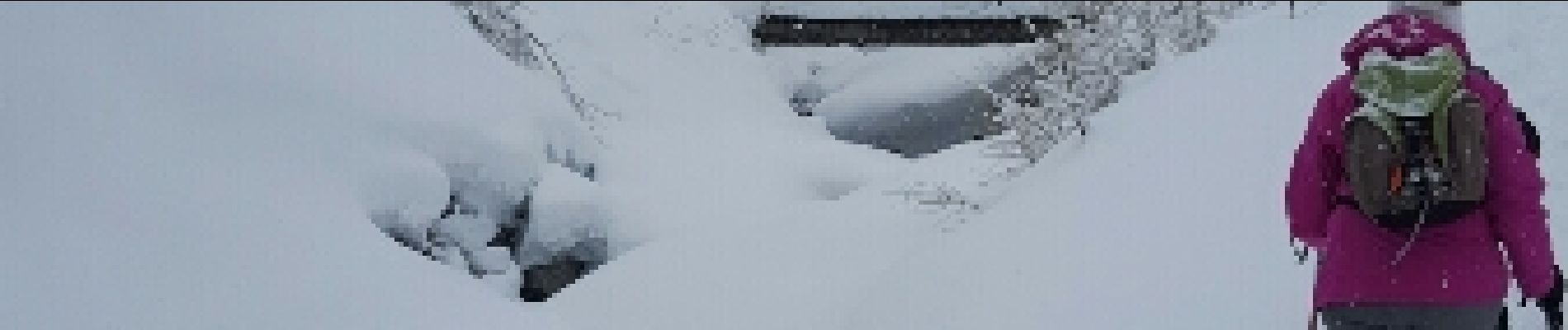 Tocht Sneeuwschoenen Peisey-Nancroix - CRAB - SAMEDI 05 MARS - AM - Photo