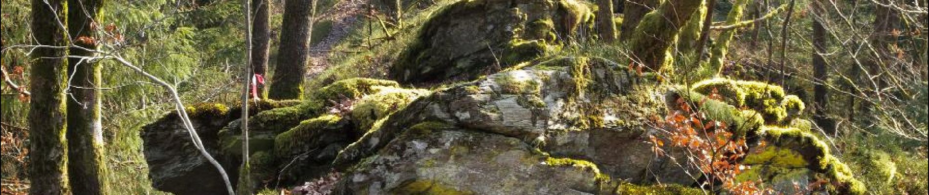 Punto de interés Herbeumont - Entre pierre et nature - Photo