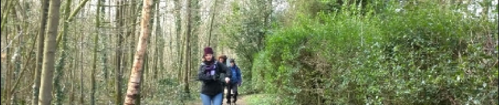 Trail Walking Boeschepe - Monts des Flandres CAF LILLE week-end des estaminets 2 - Photo