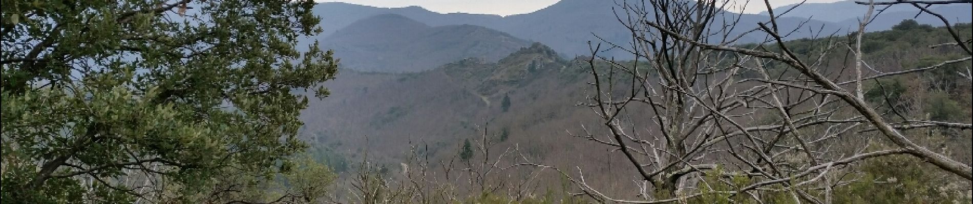 Randonnée Marche Saint-Gervais-sur-Mare - Boucle du Col de la Fontasse - Photo