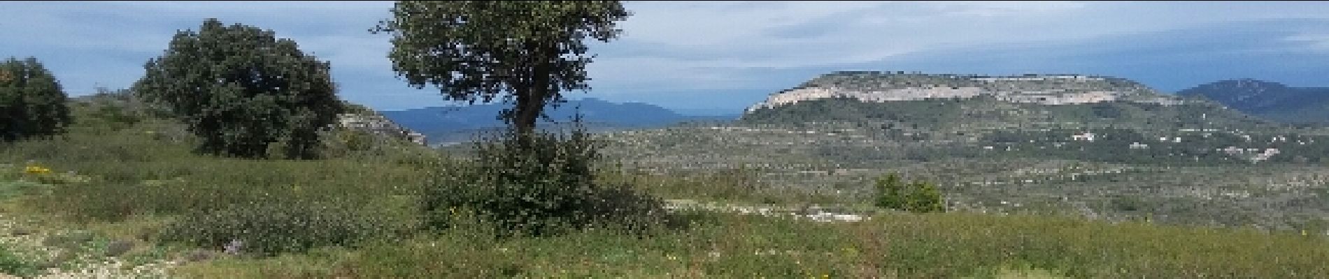 Excursión Senderismo Montaud - Montaud bois negre 8.9kms - Photo