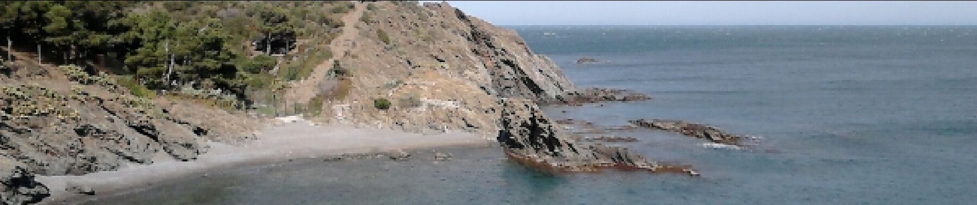 Tour Wandern Port-Vendres - Port Vendres -Banuyls  - Photo