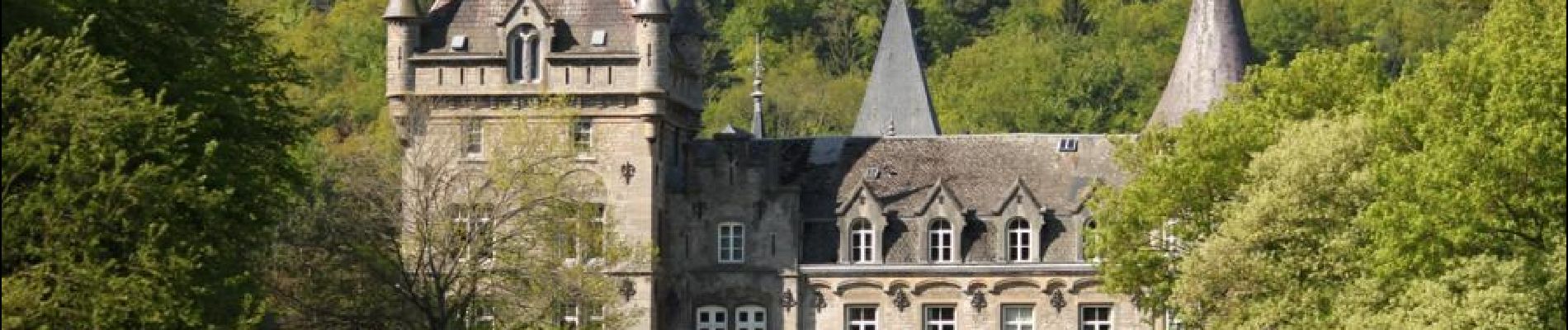 Punto di interesse Viroinval - Château Licot (Licot Castle) - Photo