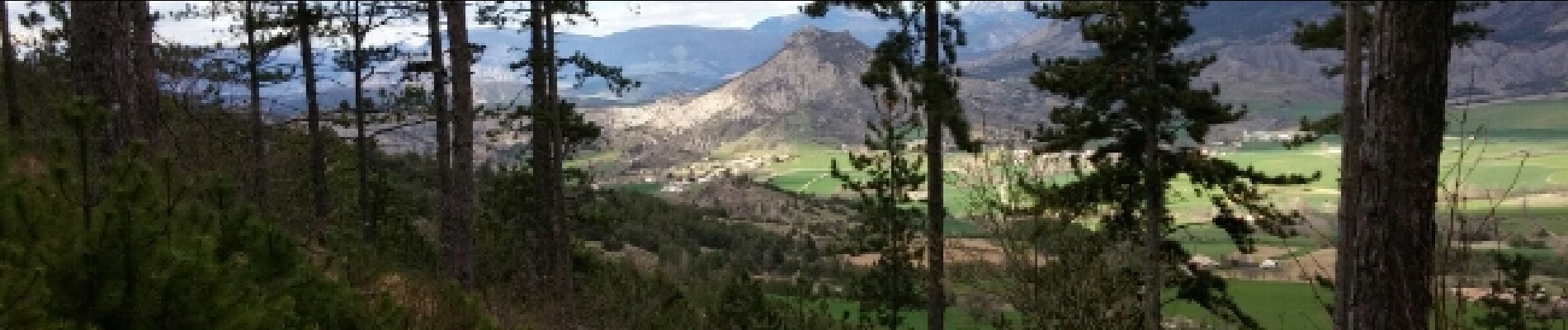 Tocht Stappen Savournon - Cime du Revuaire-Grotte de Jubeo. - Photo