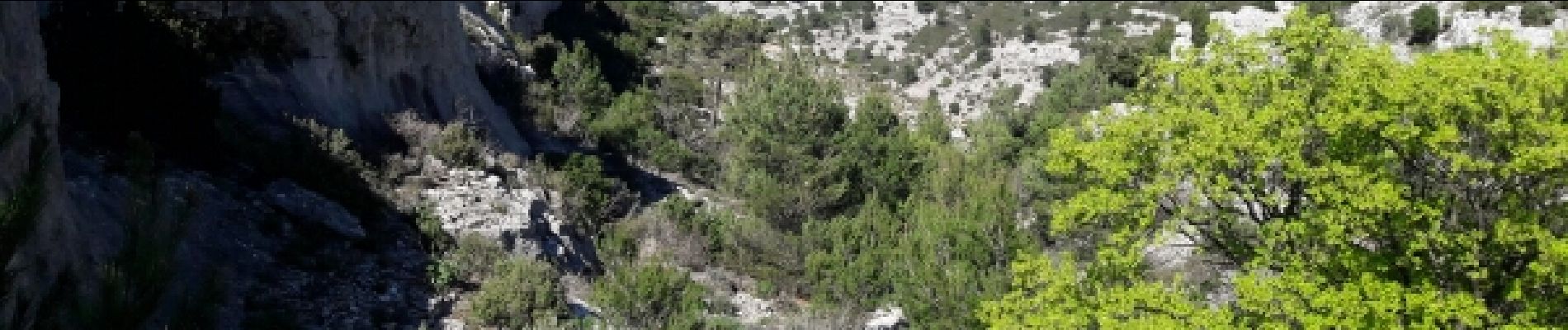 Tocht Stappen Marseille - tour du mont Puget départ du col de la gineste - Photo