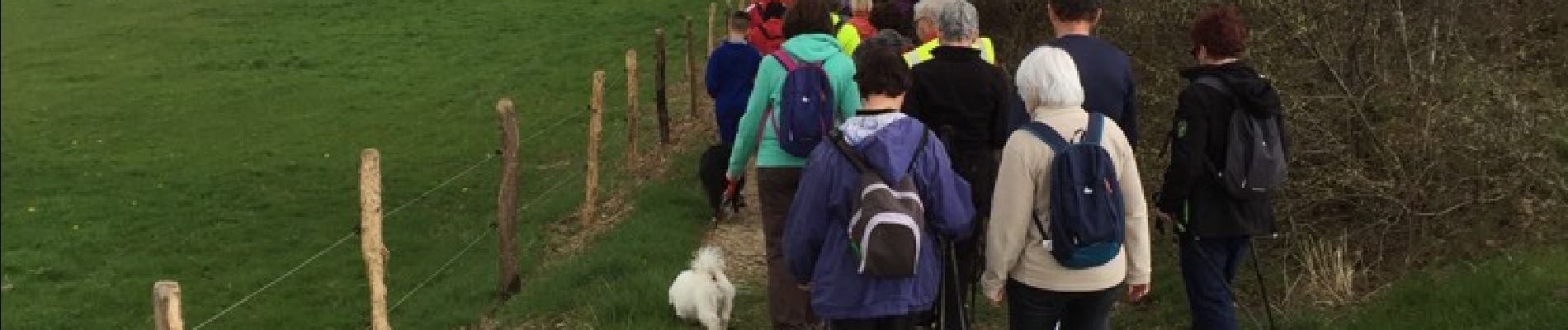 Tocht Stappen Lachaux - Lachaux parcours fléché bleu  - Photo