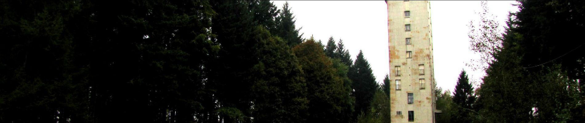 Tocht Stappen Taillefontaine - en forêt de Retz_44_laie des pots_2 - Photo