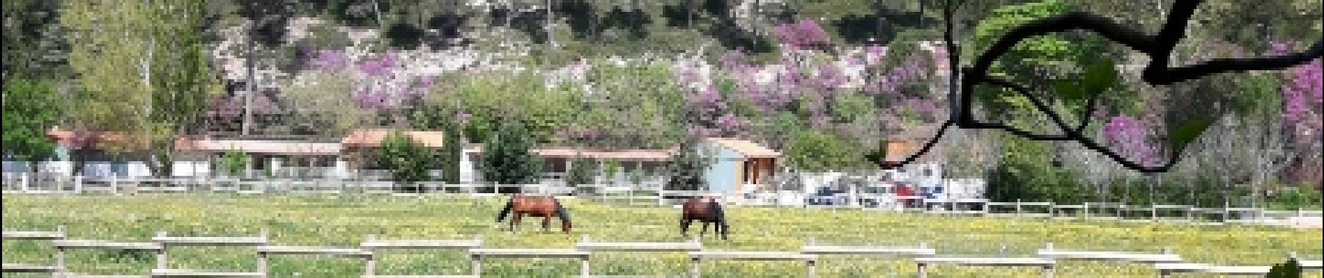 POI Gémenos - les chevaux des garde du parc - Photo