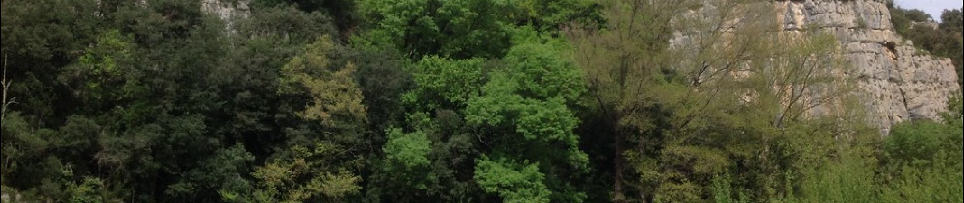 Tour Wandern Brissac - St bauzille de putois / des berges de l'Hérault vers St Bauzille - Photo