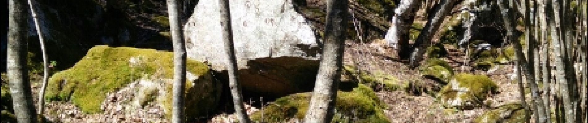 Punto di interesse Thuès-Entre-Valls - Point 11 plusieurs abris sous de gros rochers - Photo