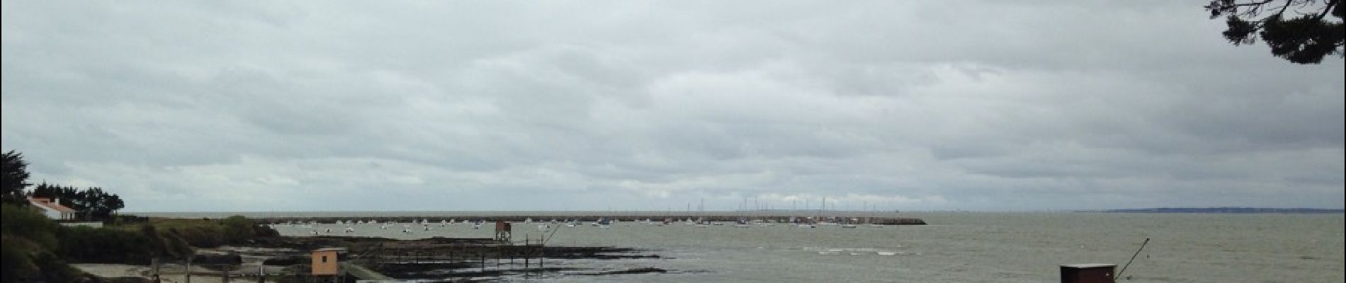 Tocht Andere activiteiten La Plaine-sur-Mer - côte des moutons  - Photo