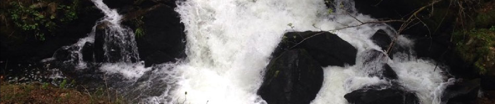 Excursión Otra actividad Gérardmer - vologne Rocher des bruyères  - Photo