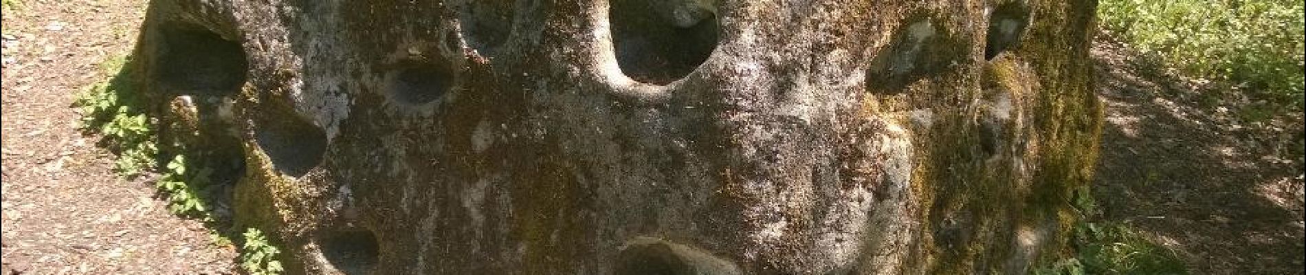POI Burtigny - pierre spéciale à mille trous - Photo