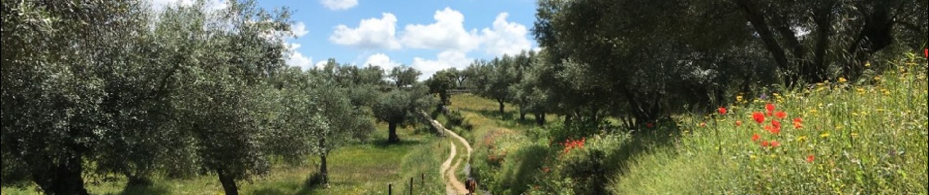 Tour Wandern Cumbres Mayores - Round trip around Cumbres Mayores  - Photo