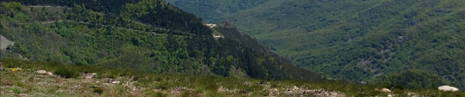 Randonnée Marche Le Roux - Le Roux- Lalligier   - Photo