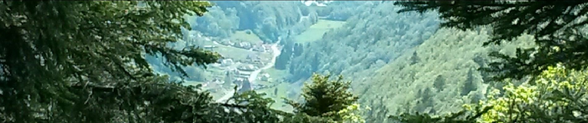 POI Wildenstein - vue sur le lac de Kruth Wildenstein - Photo