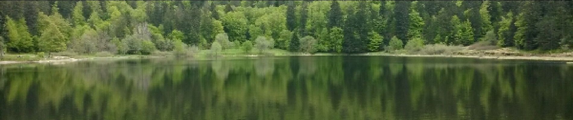 Point d'intérêt La Bresse - lac de blanchemer - Photo