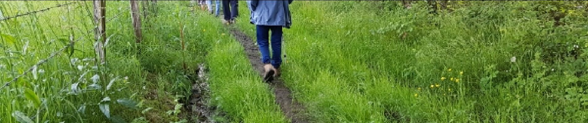 Point d'intérêt Les Essarts-le-Roi - En bordure de Vaujoyeuse - Photo