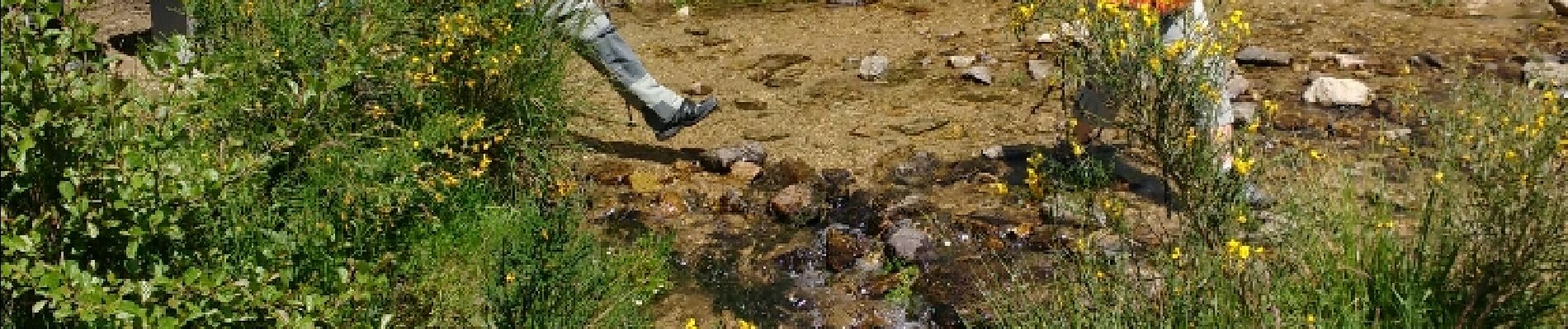 Tocht Stappen Cellier-du-Luc - Trce Le Cellier du Luc - Photo