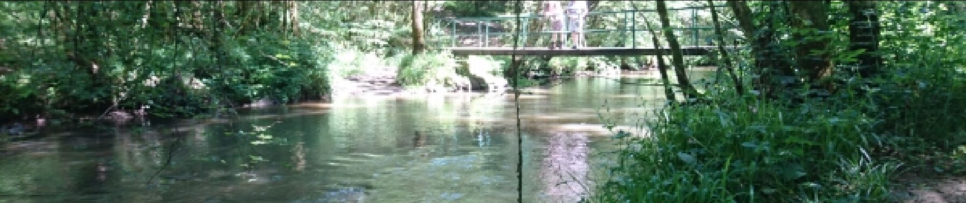 Point d'intérêt Voutezac - 08 - La 1ère passerelle sur la Loyre - Photo