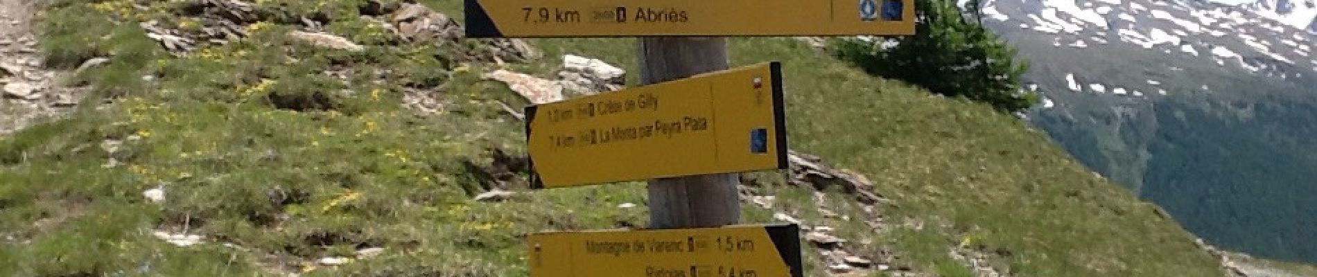 Tour Wandern Abriès-Ristolas - Valpréveyre-col d'urine-colinette Gilly 20160629 - Photo