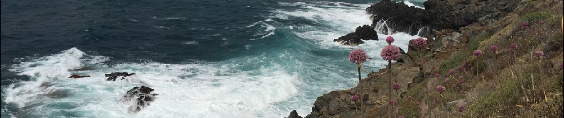 Tocht Andere activiteiten Ajaccio - perret îles sanguinaires  - Photo