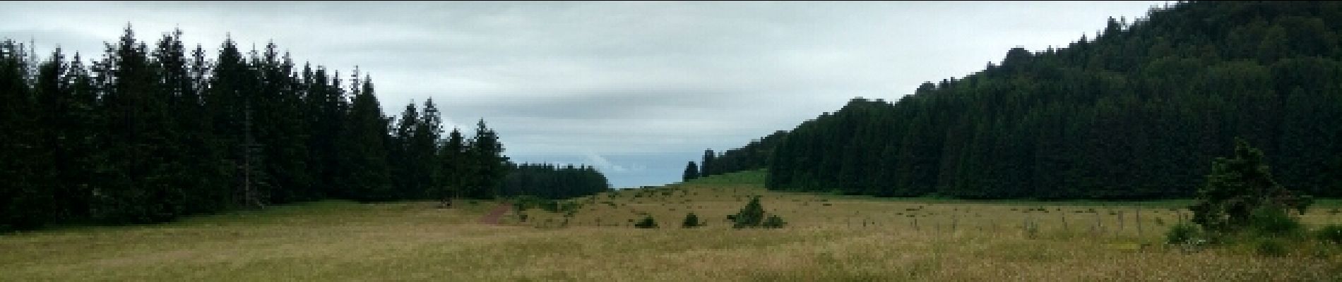 Tour Wandern Saint-Genès-Champanelle - rando Auvergne 2 - Photo