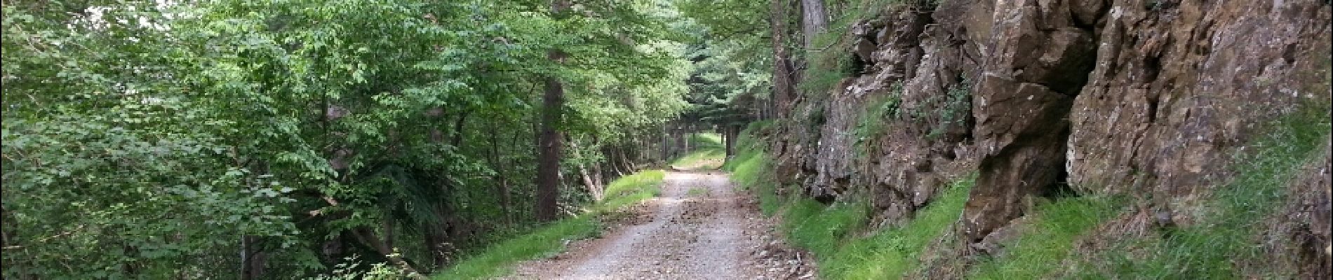 Trail Walking Breil-sur-Roya - Col de Brouis  (Breil-sur-Roya) - cime du Bosc - 2016 06 29 - Photo