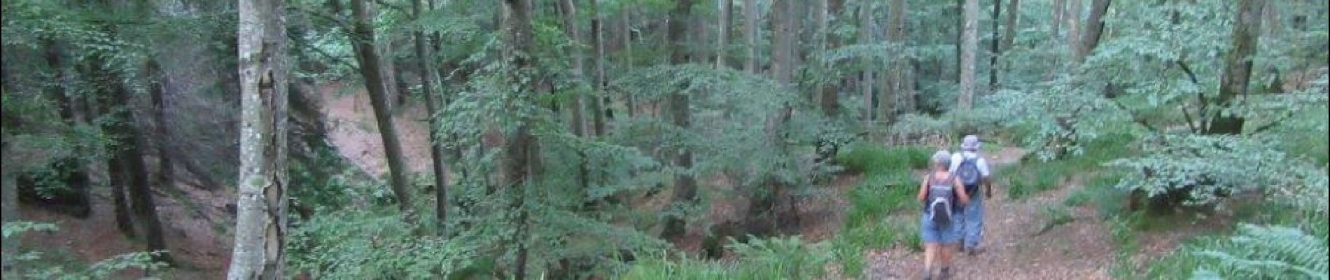 Punto di interesse Castans - sentier sauvage au bord de la Clamoux - Photo