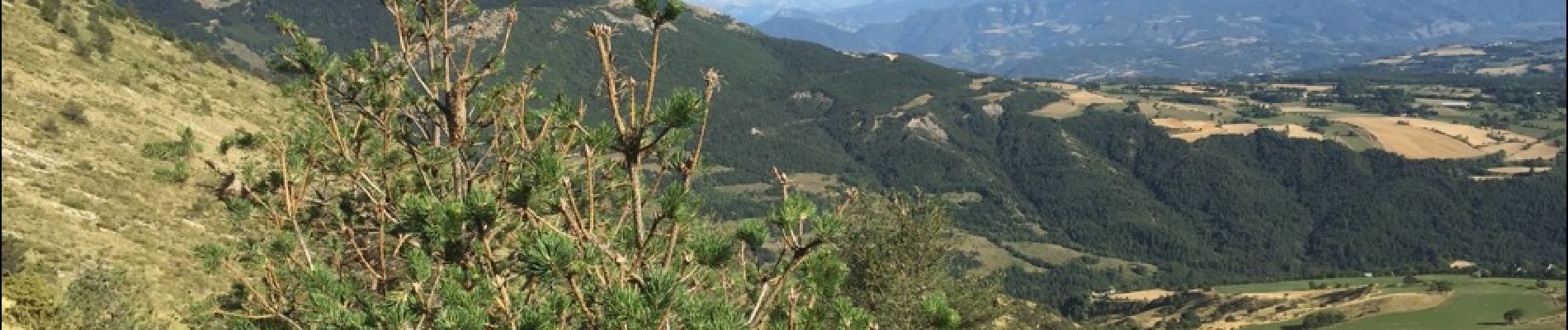 Tour Wandern La Roche-des-Arnauds - COL de CONODE depuis LA ROCHE des ARNAUDS-13-08-2016 - Photo