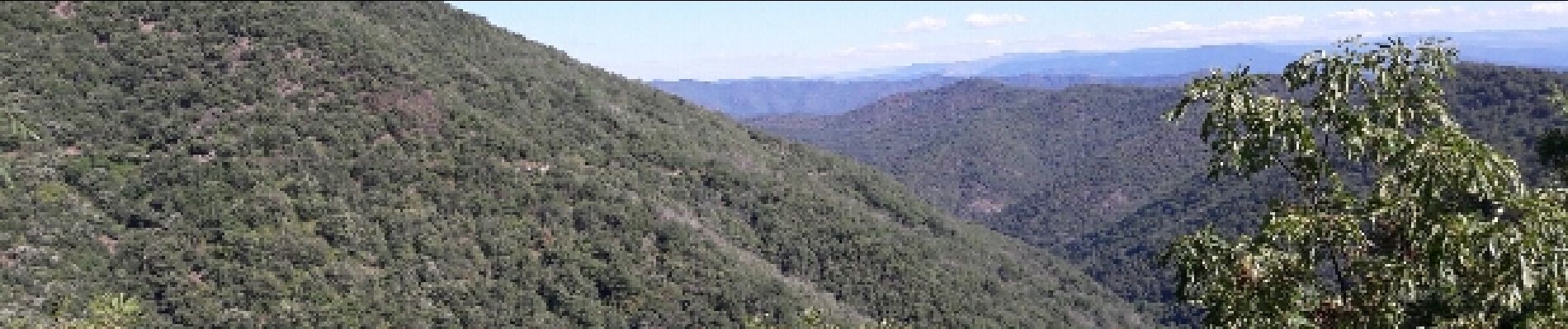 Randonnée Autre activité Saumane - col de l asclier par estrechure - Photo