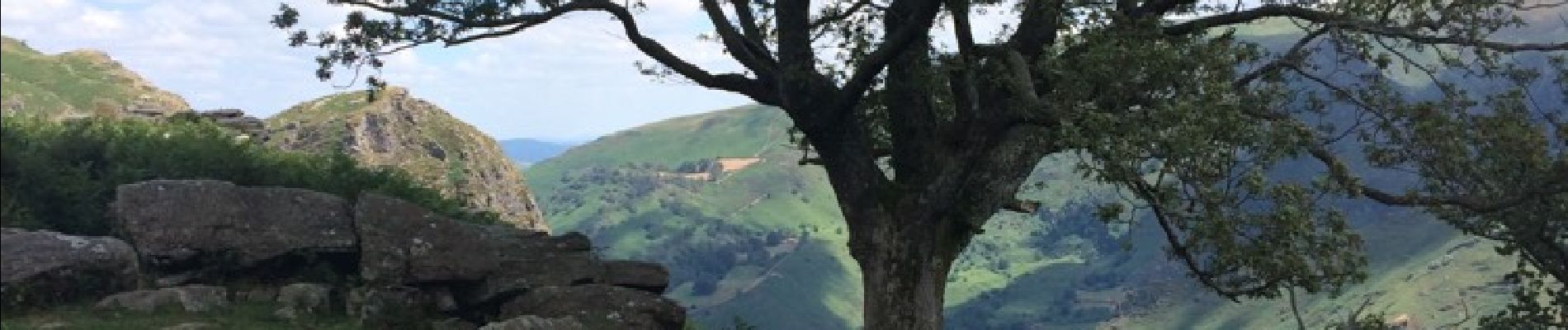 Punto de interés Baztán - passer à côté de l'arbre et des pierres en descendant  - Photo