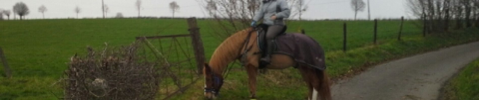 Tocht Paard Thimister-Clermont - val dieu froidthier aubel  - Photo