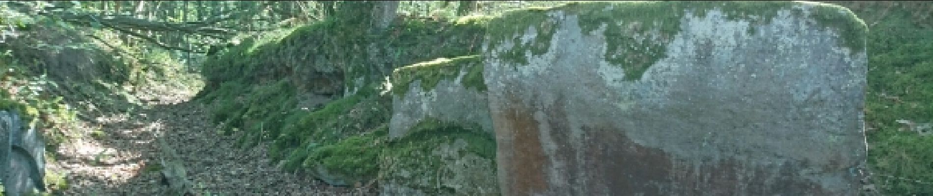 Punto de interés Dannemois - 01 - Un petit sentier creux formé par un front de taille - Photo