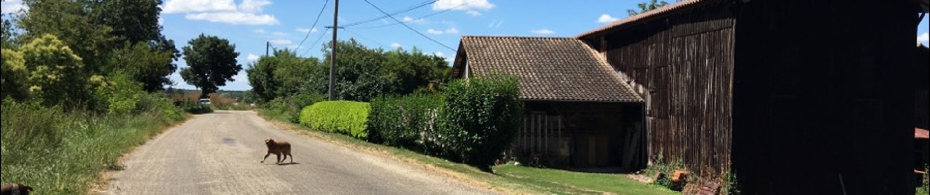 Punto de interés Couthures-sur-Garonne - route  - Photo