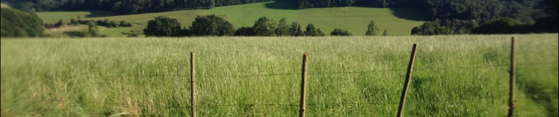 Excursión Bici de montaña Comblain-au-Pont - 20160824 Poulseur Targnon (projet) - Photo