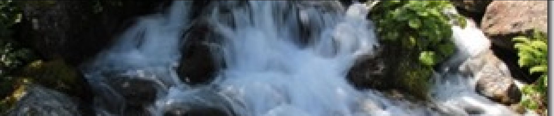 Tocht Stappen Chamonix-Mont-Blanc - La cascade du dard - Photo