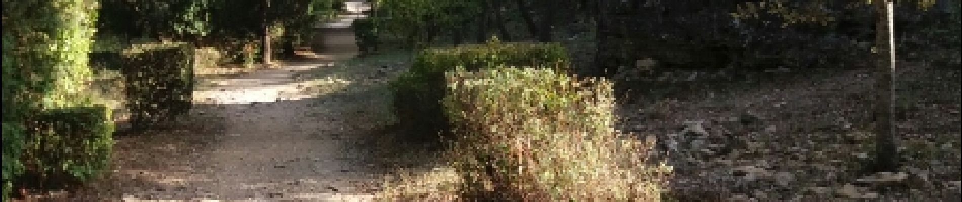 Excursión Bici de montaña Sernhac - pont du gard lundi - Photo