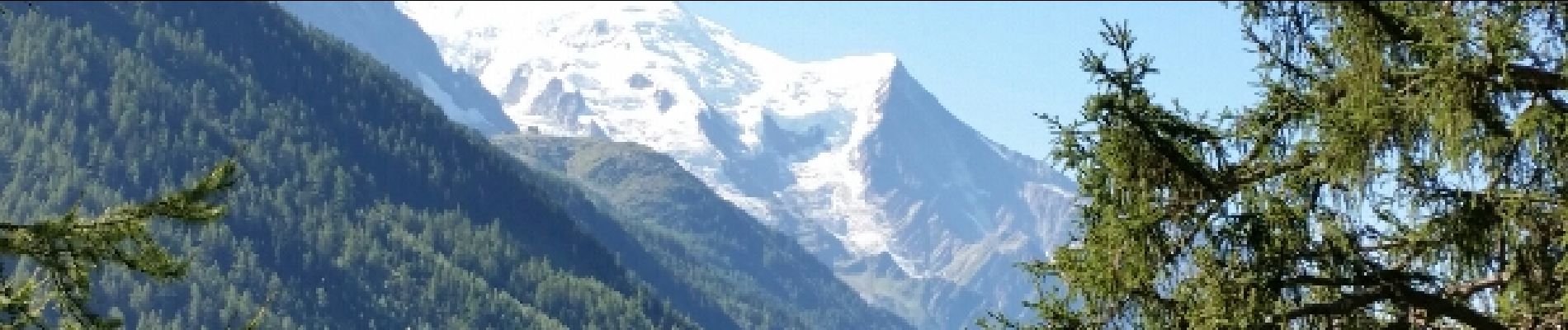 Randonnée Marche Chamonix-Mont-Blanc - CHAMONIX ( Le Chapeau) - Photo