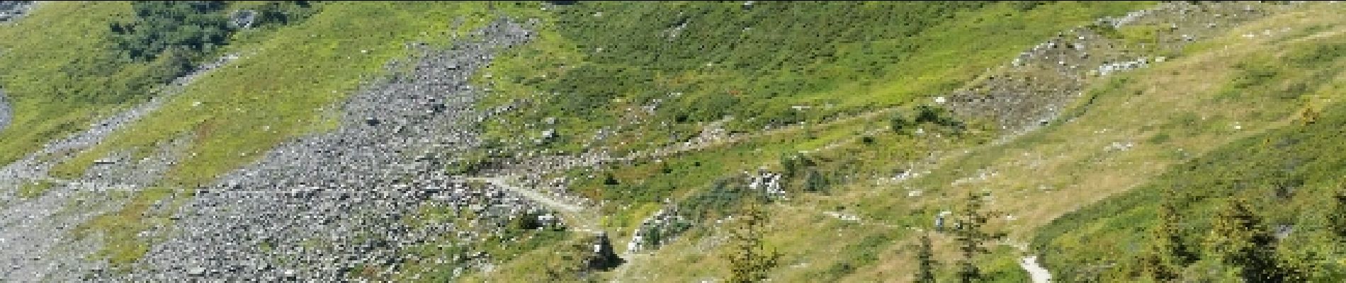 Trail Walking Chamonix-Mont-Blanc - CHAMONIX (Flégère) - Photo