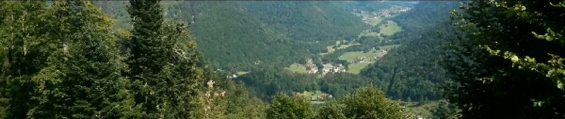 Tour Mountainbike Mittlach - Mittlach le Haut - Le Schweisel - Col du Hahnenbrunnen - Photo