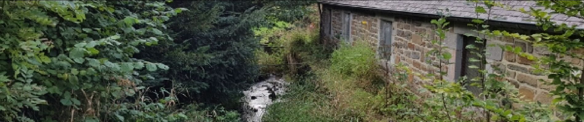 Tocht Andere activiteiten Florennes - randonnée cheval la baronne  - Photo