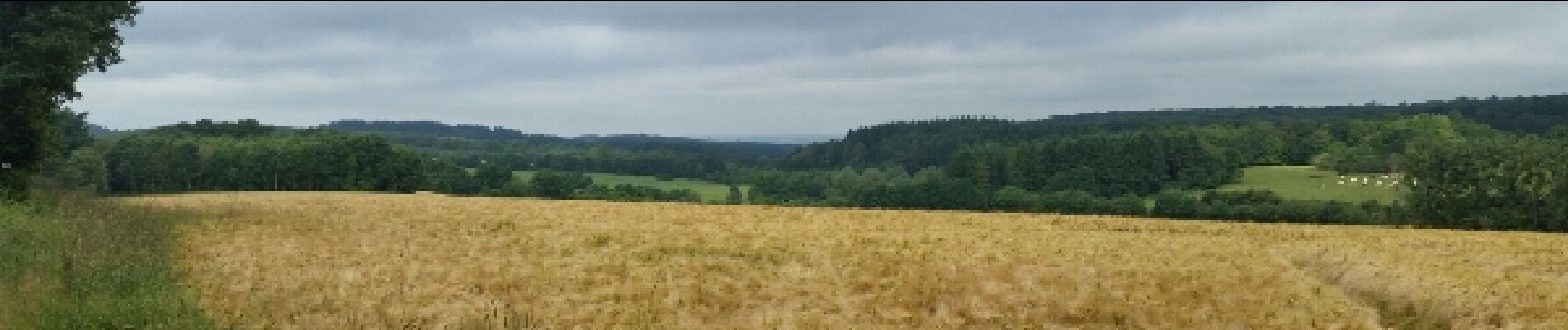 Tocht Stappen Ciney - SOVET (Château Vert) - Photo