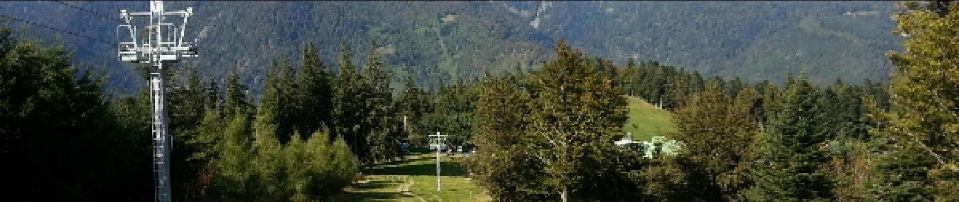 Trail Mountain bike Mittlach - Mittlach - Le Schweisel - Col d'Hahnenbrunnen - Station du Schnepfenried - Photo