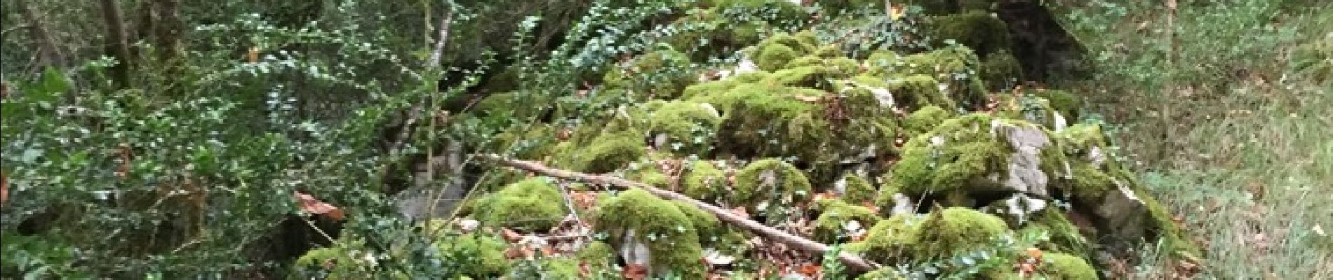 Point d'intérêt Bélesta - mur remontant vers la crète. - Photo