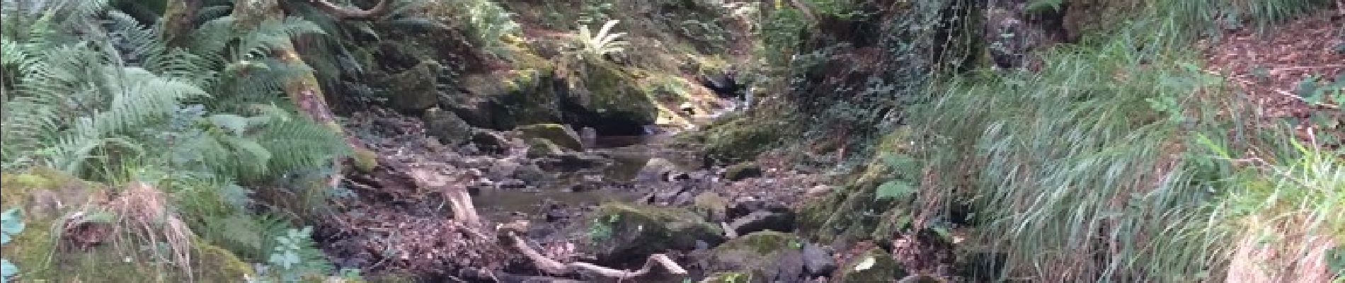 Point d'intérêt Irun - en haut de la cascade (passage 