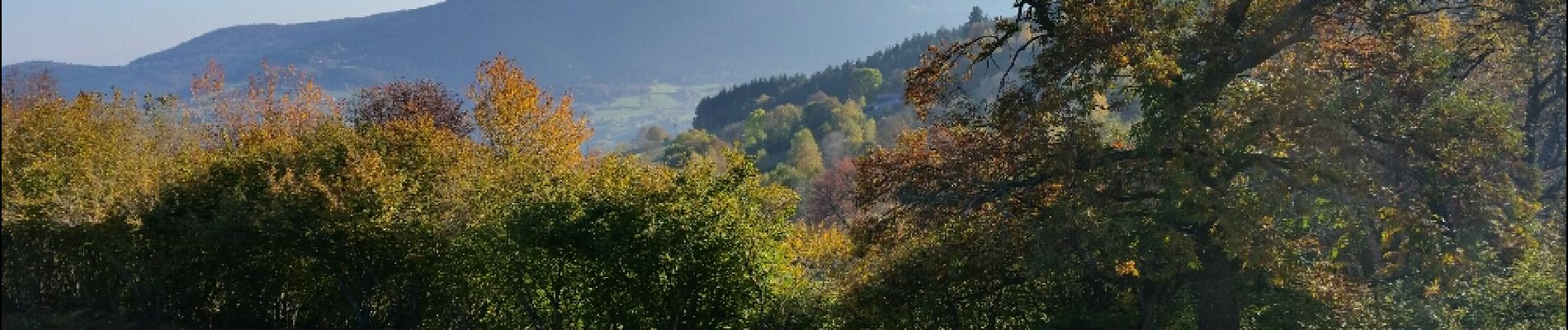 Randonnée Marche La Versanne - Gimel - Photo