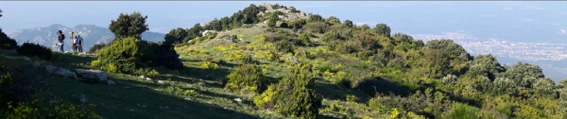 Tour Wandern Argelès-sur-Mer - Tour la Massane à partir de Valmy - Photo